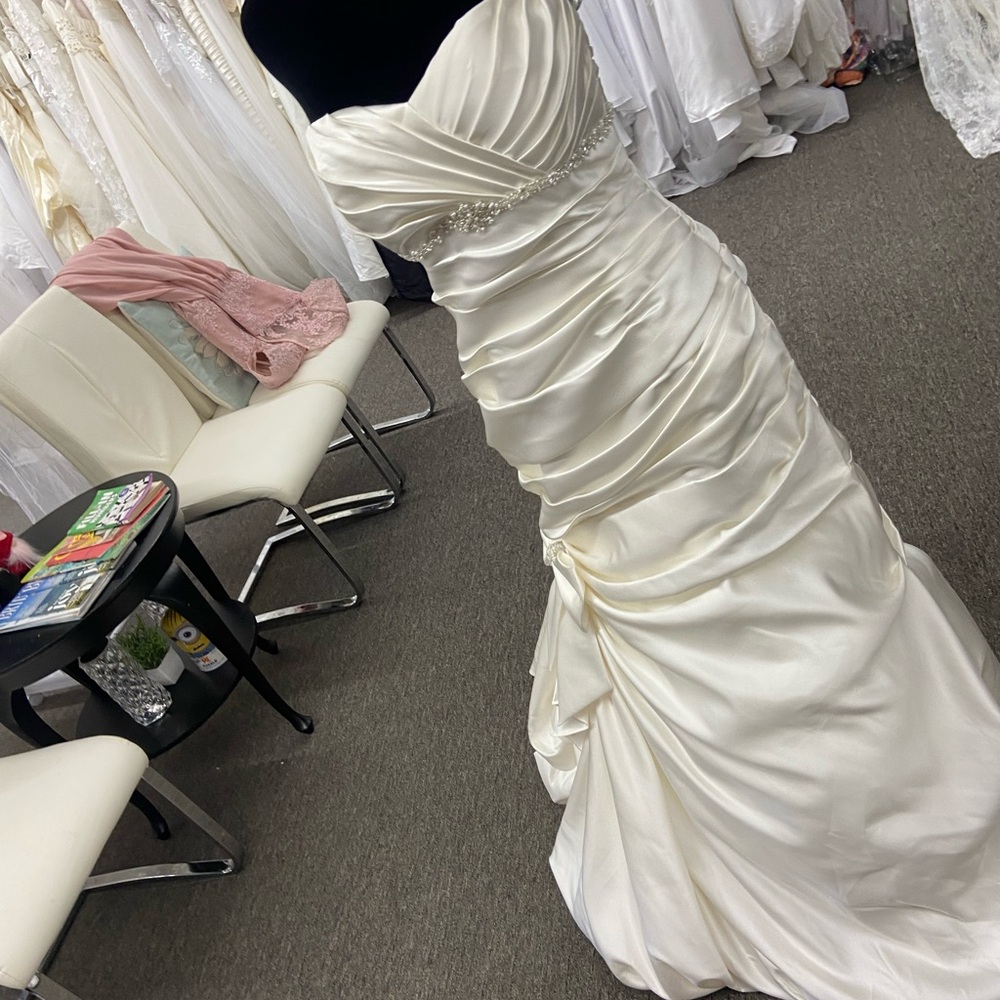 David's Bridal Elegant Cream Wedding Dress - Picture 7 of 16